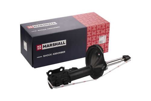Marshall M8011082